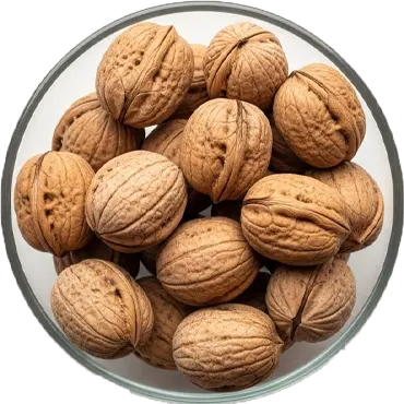 گردو دونه زار
