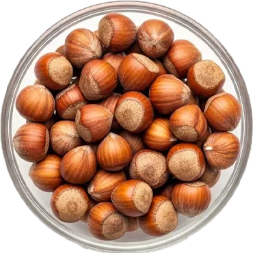 فندق دونه زار